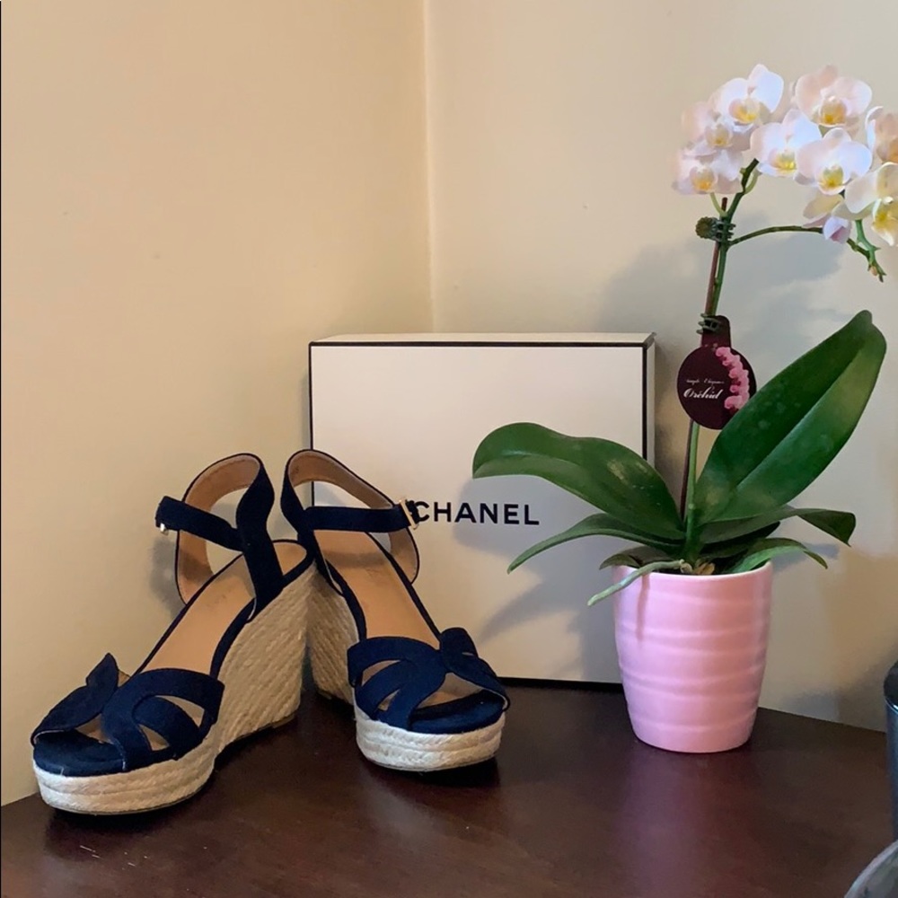 American Eagle Wedges